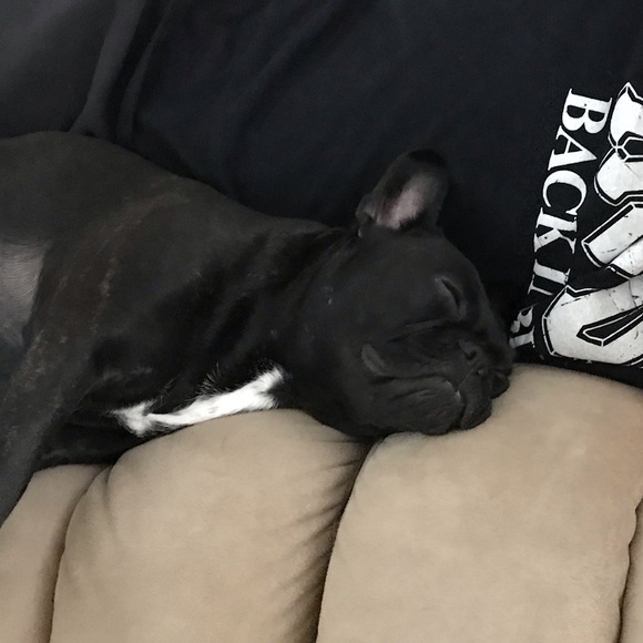 Meet your Posher, Debi - Picture 15 of 15